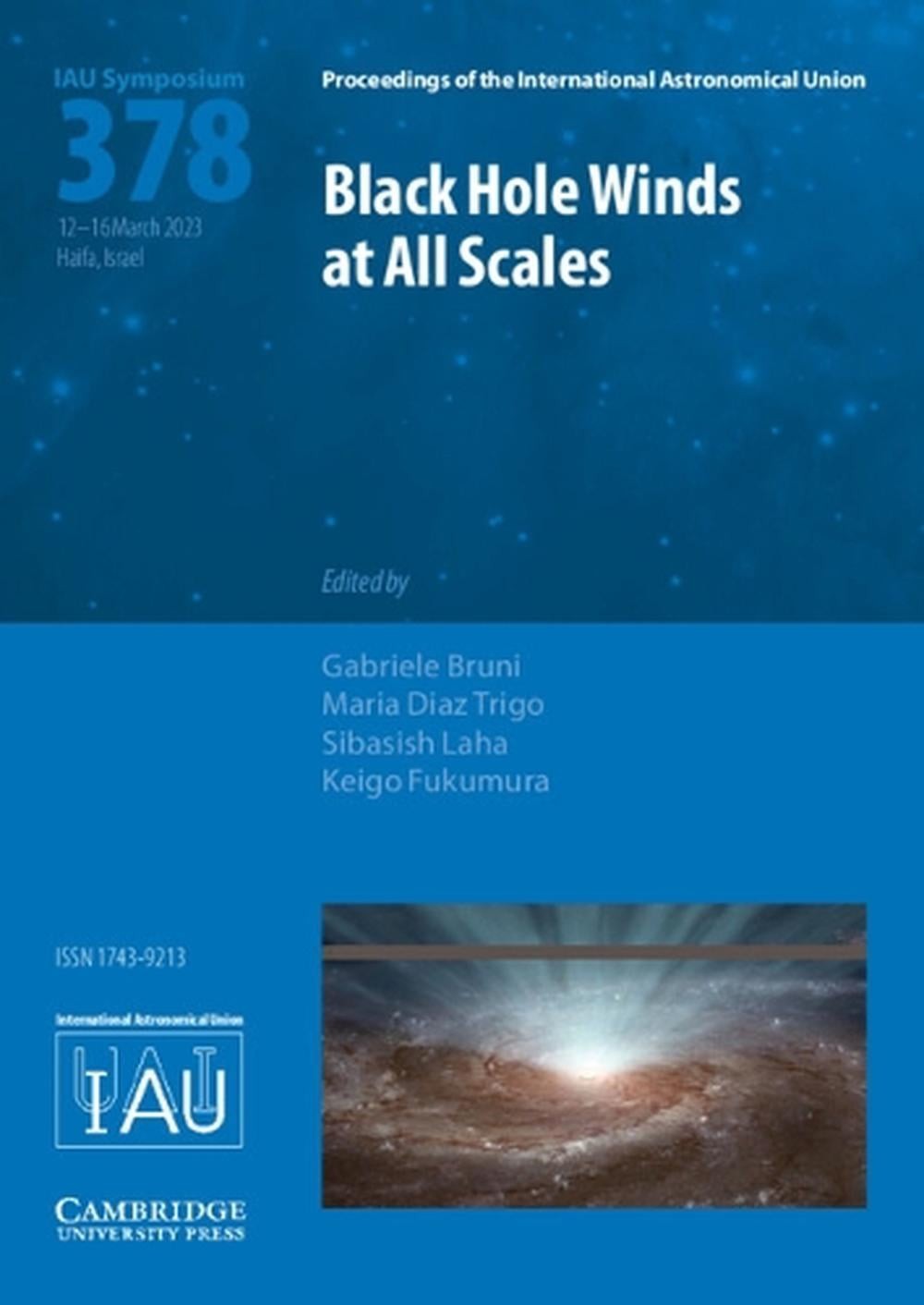 Black Hole Winds at All Scales (IAU S378) by Gabriele Bruni Hardcover Book