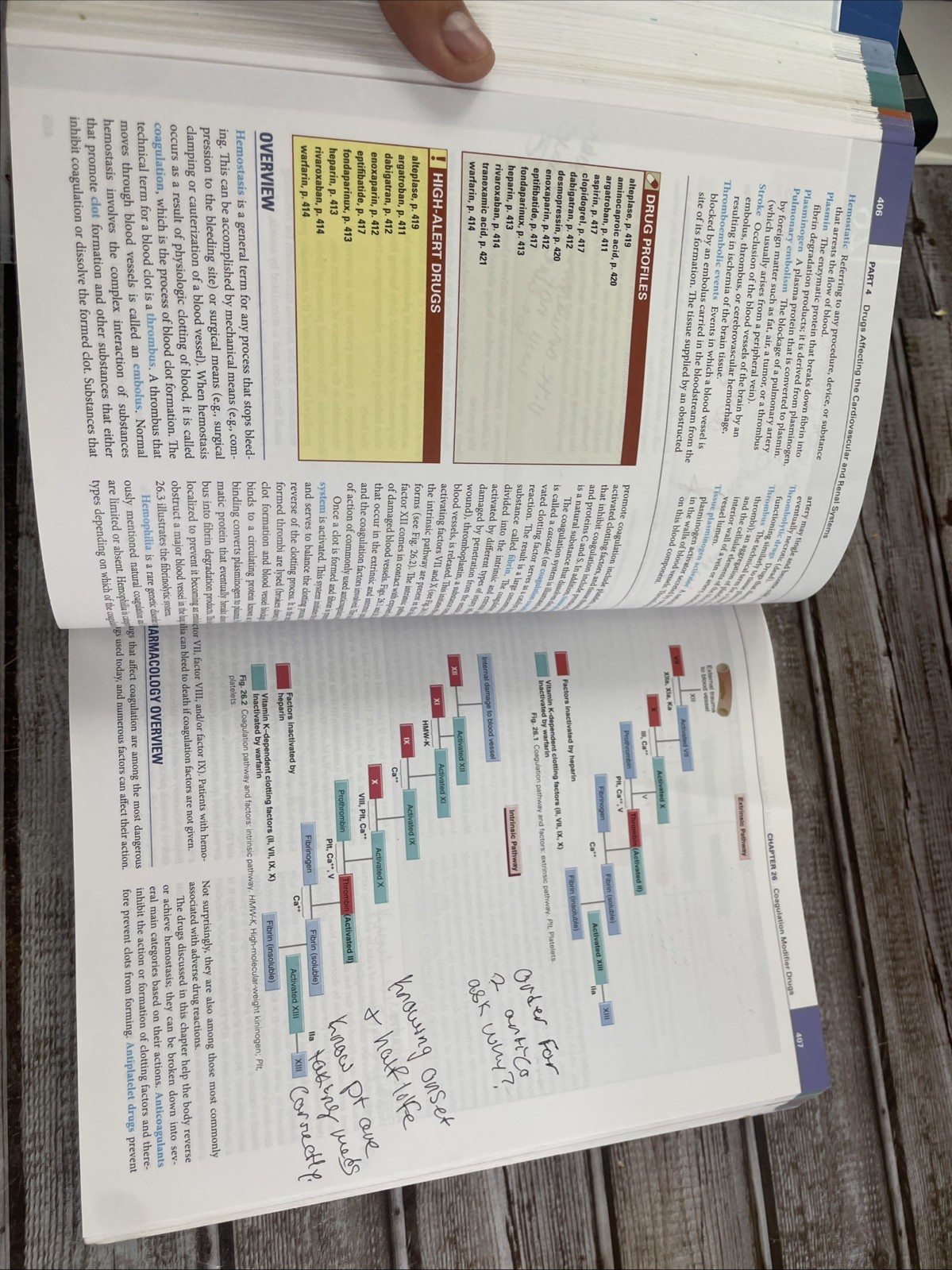 Pharmacology and the Nursing Process: Tenth Anniversary Edition 2023 Paperback