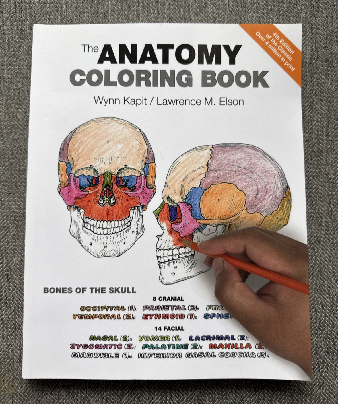 NEW Pearson The Anatomy Coloring Book 4th Edition 162 System Spreads Color Key