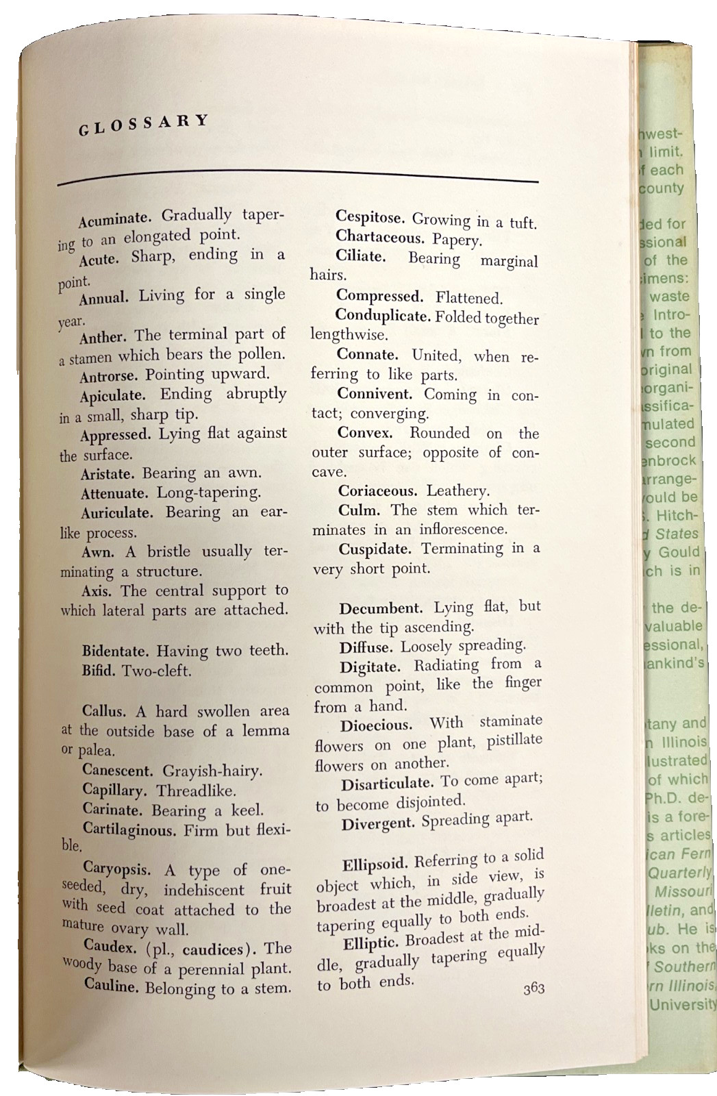 The Illustrated Flora of Illinois Ser.: Grasses: Panicum to Danthonia by Robert