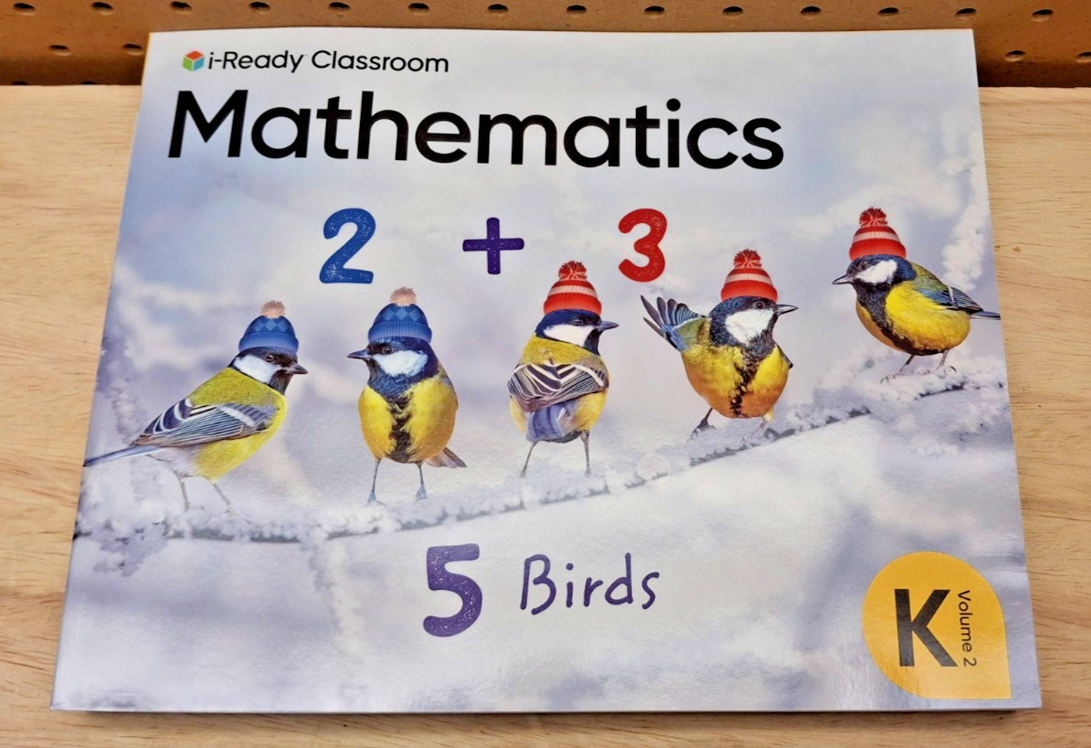 i-Ready Classroom Mathematics Volume 2 Grade K BRAND NEW MULTIPLE AVAILABLE