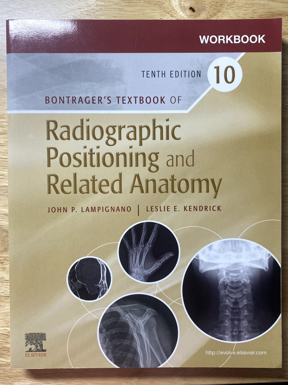 Workbook for Textbook of Radiographic Positioning and Related Anatomy by John…