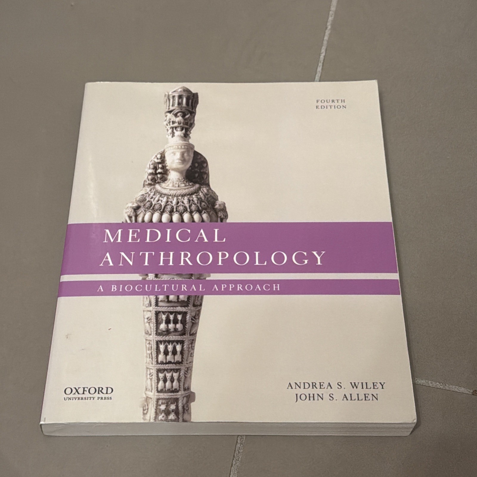 Medical Anthropology: A Biocultural Approach – Wiley, Andrea S.,Allen, John S.