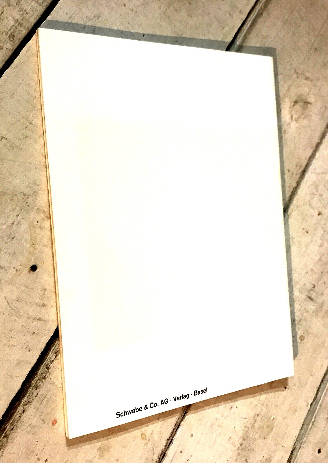 Pawel Althamer Kunsthalle Basel Best seller Paperback