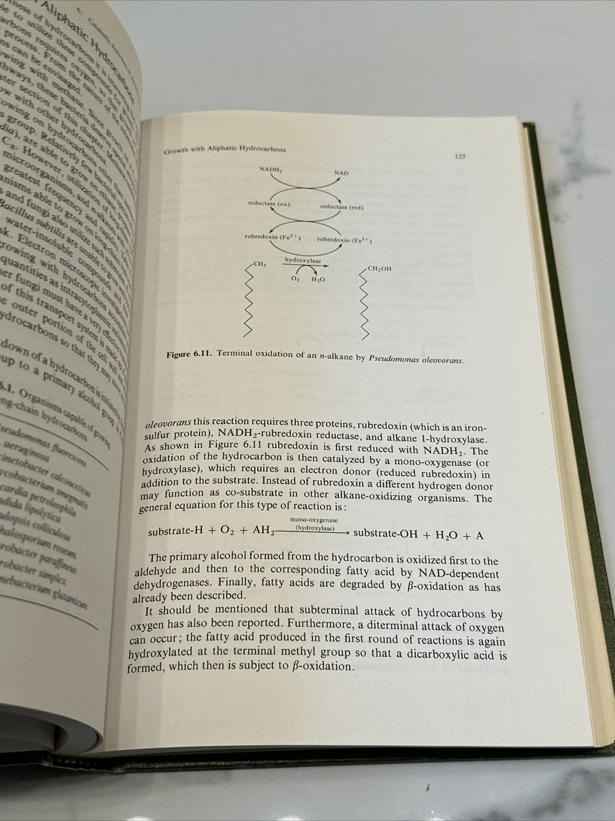Bacterial Metabolism by Gottschalk, Gerhard Springer Verlag New York 1979 HC