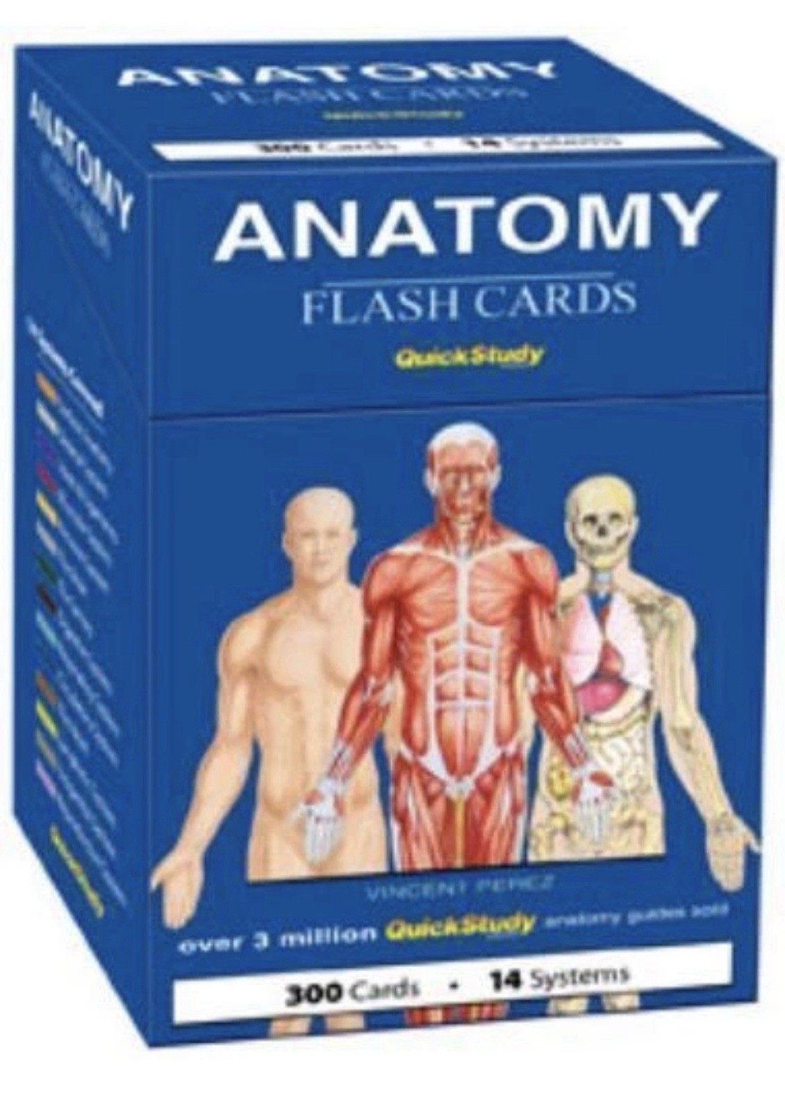 Anatomy Flash Cards QuickStudy Vincent Perez 300 Cards 14 Systems Study Aid