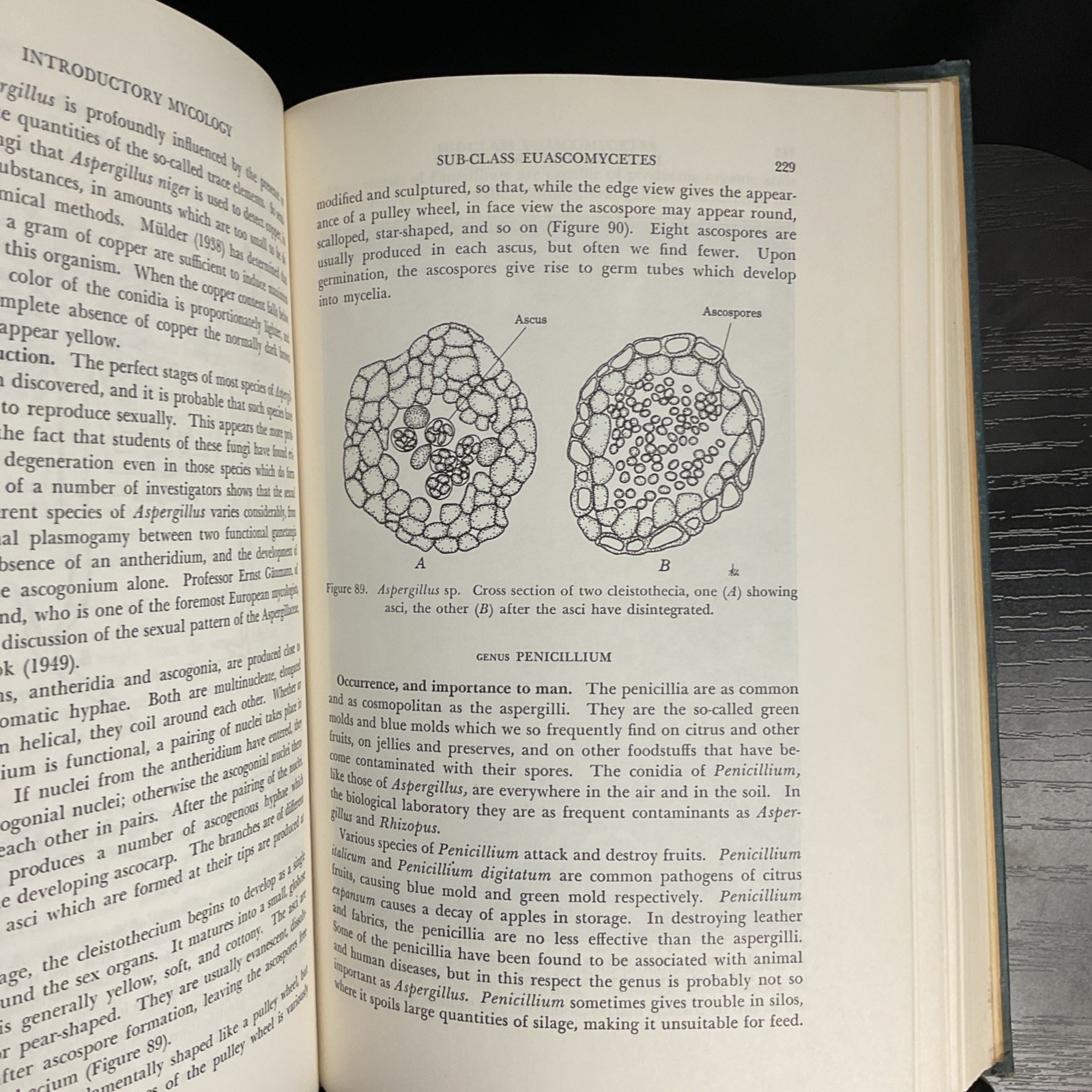 Rare Introductory Mycology Constantine John Alexopoulos Sung Huang Sun 1961 HC