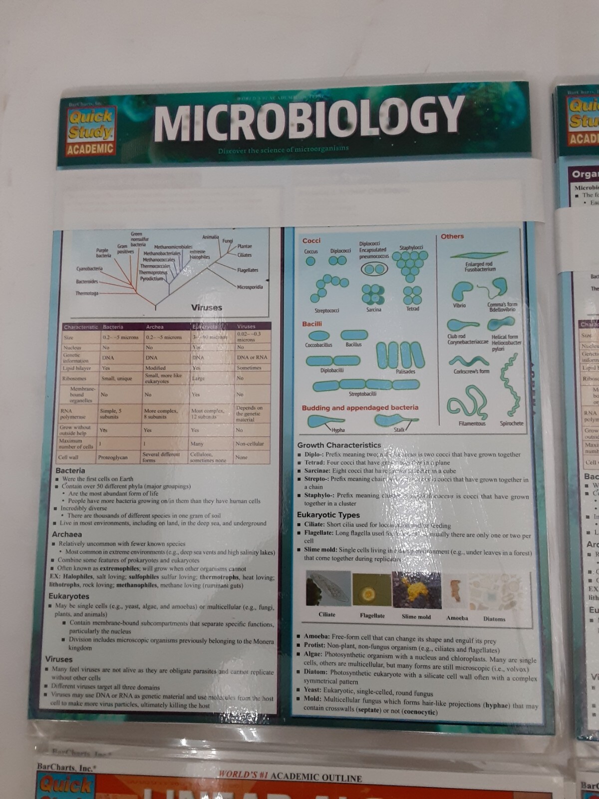 Quick Academic Study laminated learning Aids Lot of 20 (3 diff charts) See Desc