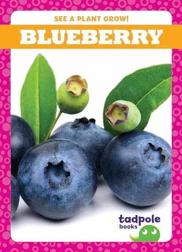 Blueberry (Tadpole Books: See – Library Binding, by Charlie W. Sterling – New h