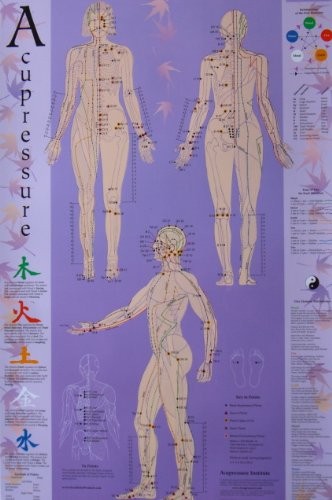 ACUPRESSURE CHART – POINTS & MERIDIANS By Michael Reed Gach & Ph.d. *BRAND NEW*