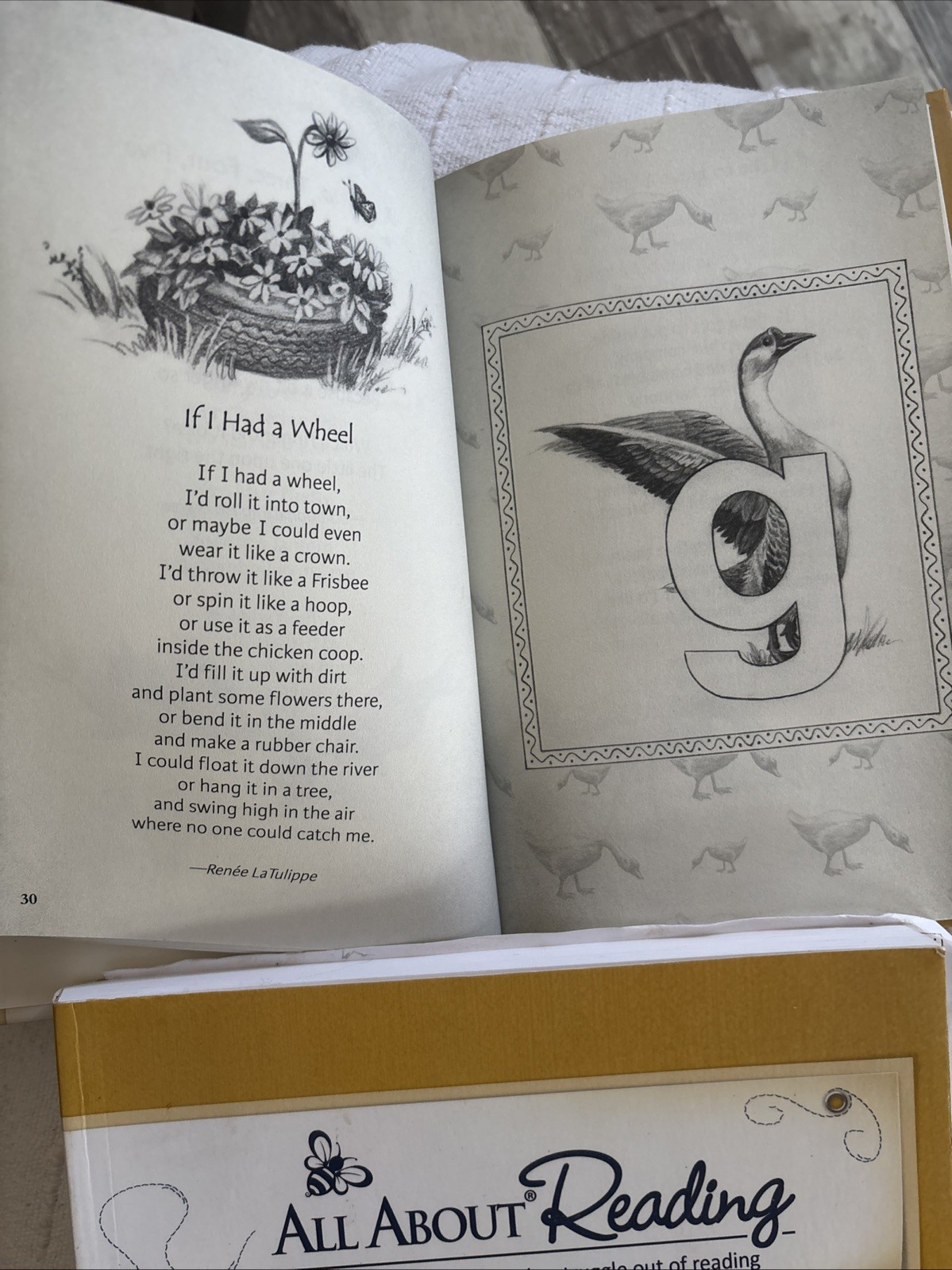 All About Reading Pre-reading Volume 1 And 2, Teachers Manual And Activity Book