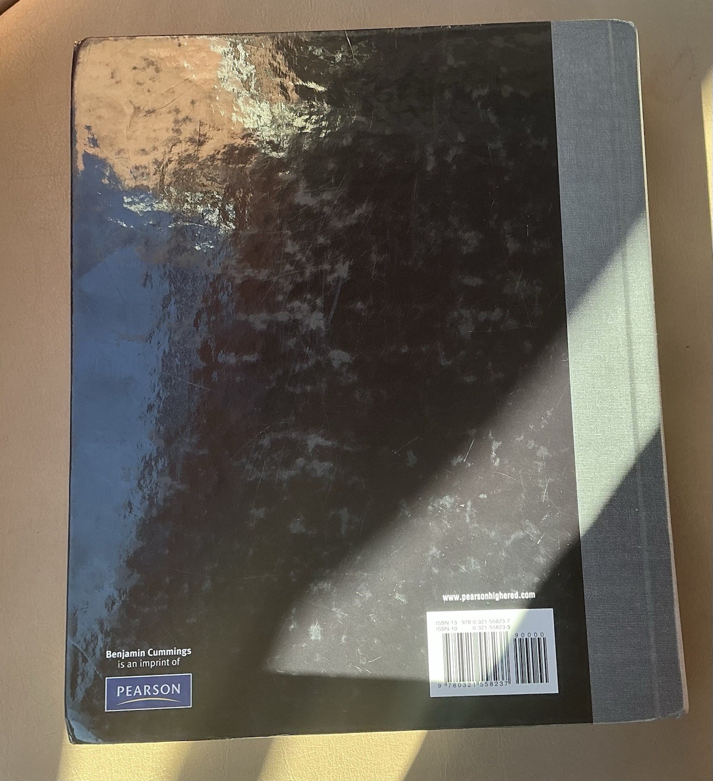 Campbell Biology by Peter V. Minorsky, Robert B. Jackson, Michael L. Cain, Lisa