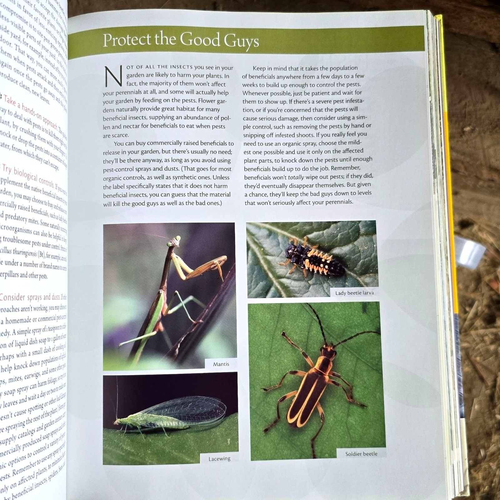 The Perennial Care Manual By Nancy J. Ondra Hardcover 2009 1st Edition Good