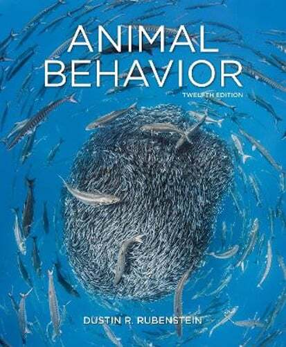 Animal Behavior by Dustin Rubenstein: Used