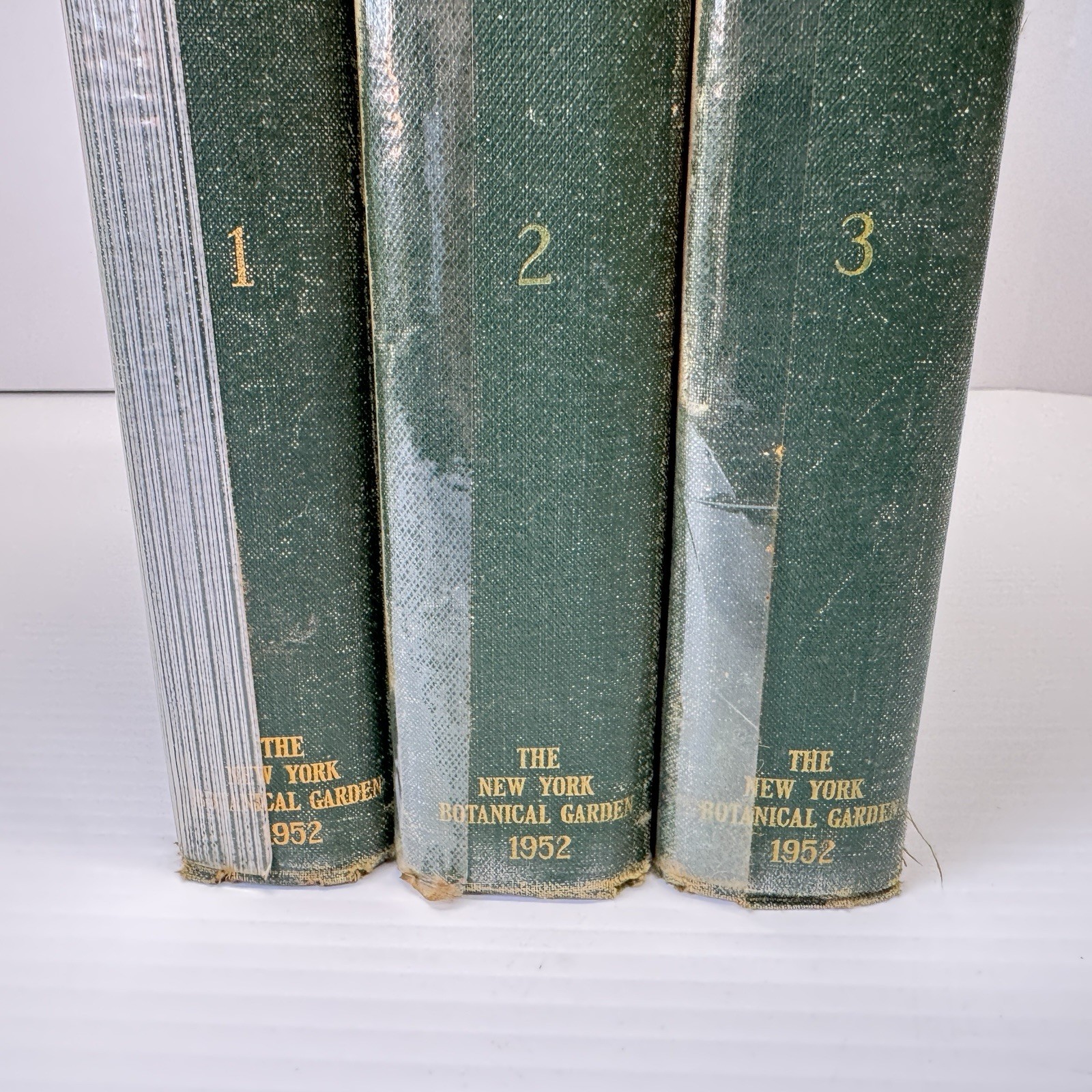 1952 New Britton and Brown Illustrated Flora of United States Gleason Flowers