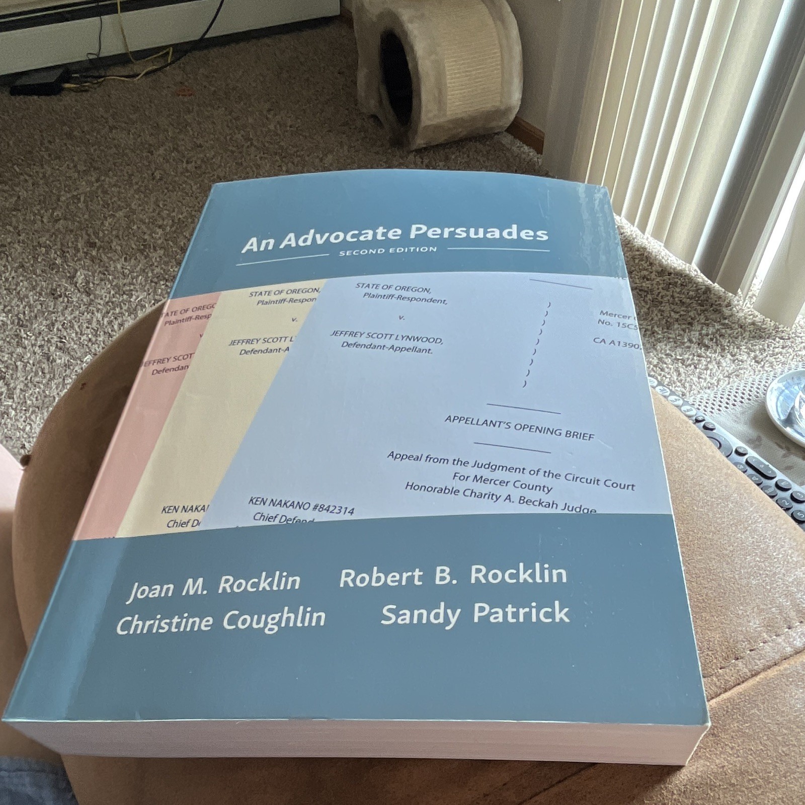 Carolina Academic Press An Advocate Persuades 2nd Ed PB 2016 Rocklin et al