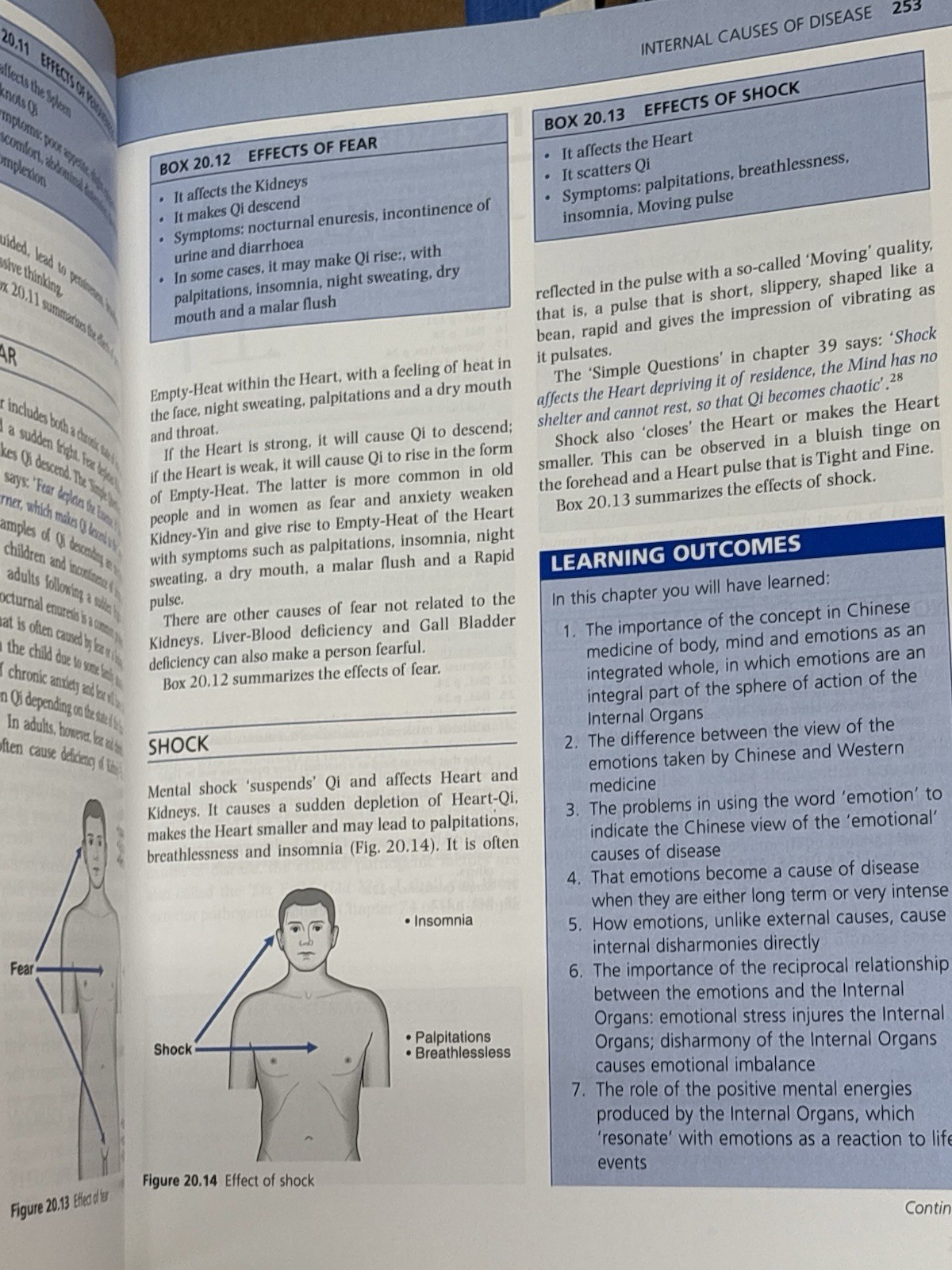 The Foundations of Chinese Medicine with CD Second Edition by Giovanni Maciocia
