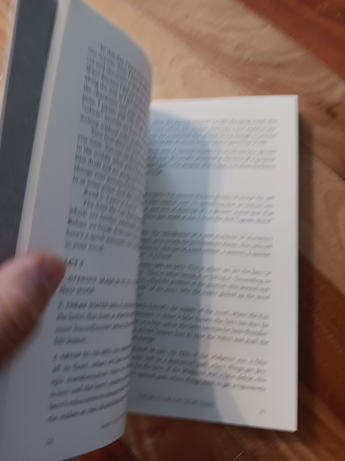 Save the Cat! Writes a Novel: The Last Book On Novel Writing You’ll Ever Need