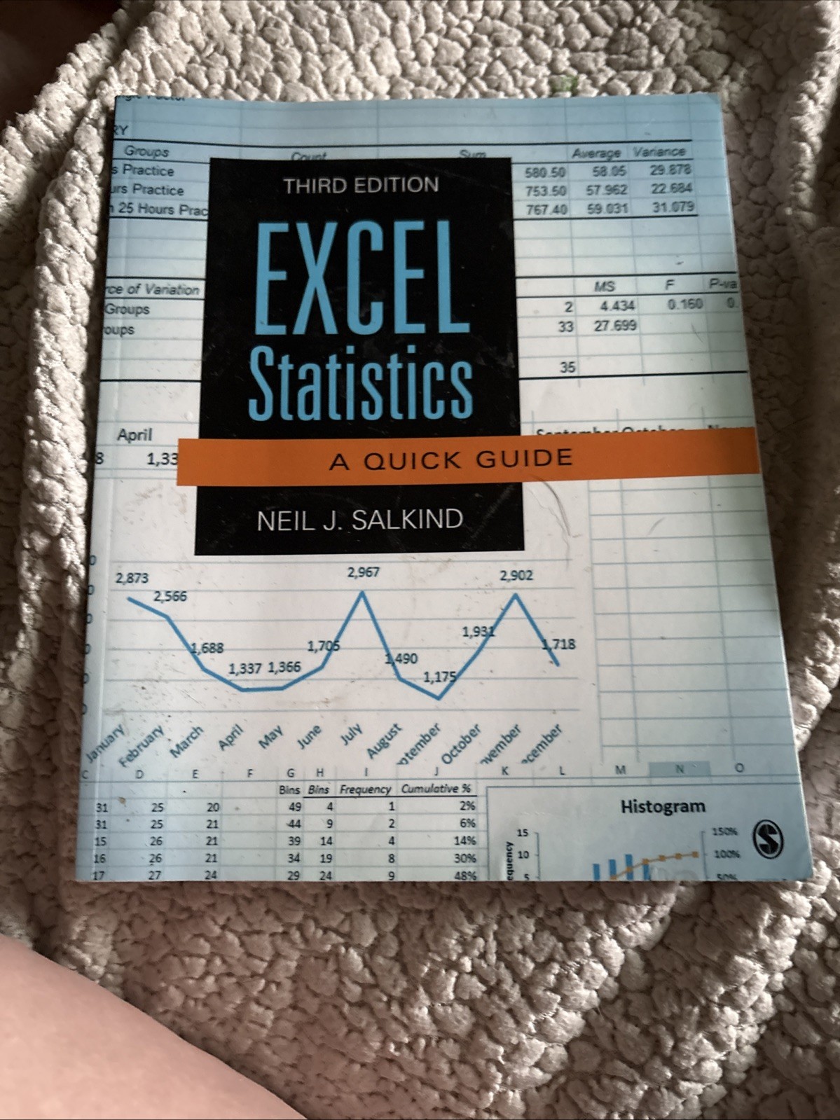 Excel Statistics by Neil J. Salkind (2016, Trade Paperback)