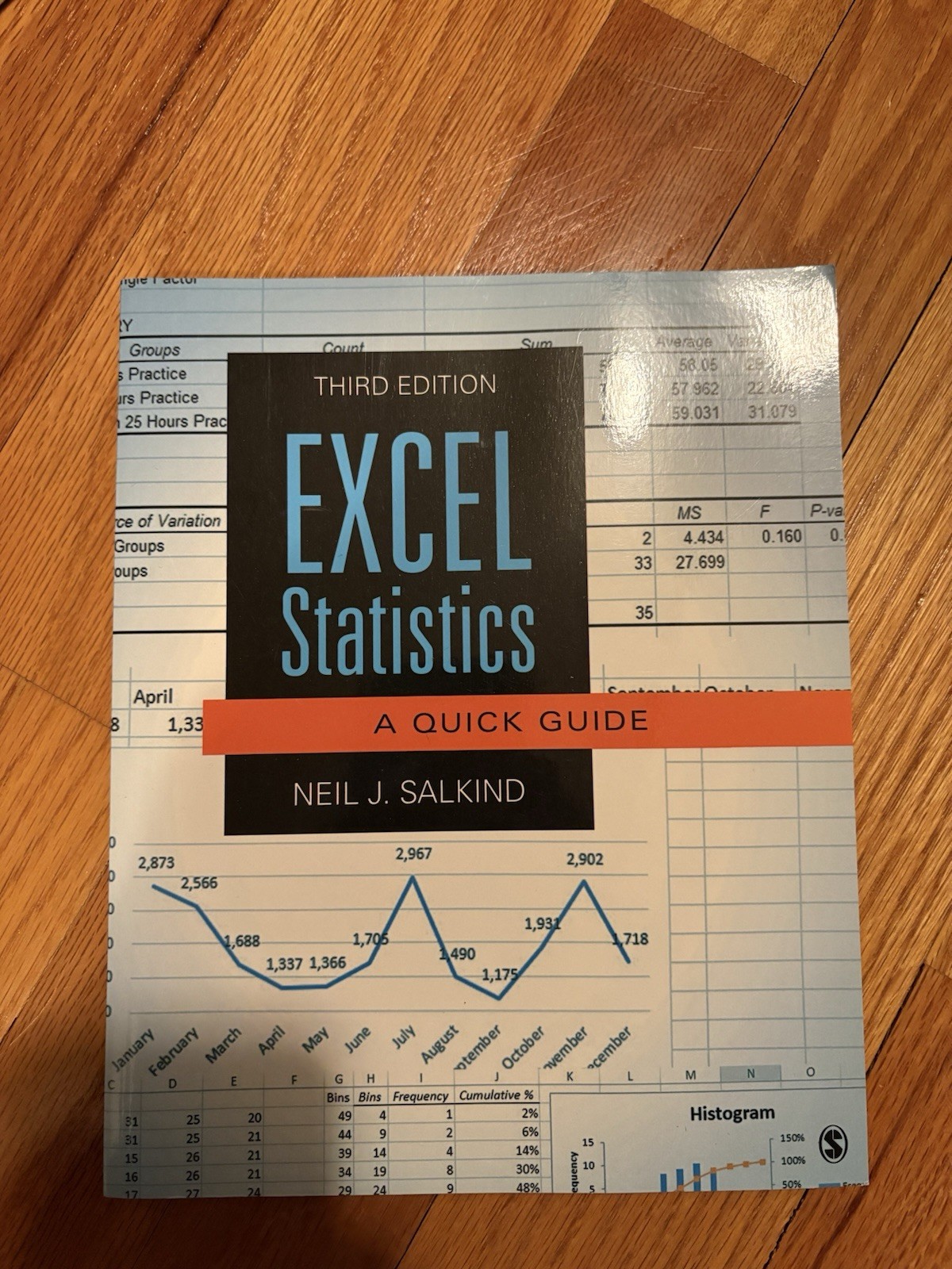 Excel Statistics by Neil J. Salkind (2012, Trade Paperback)