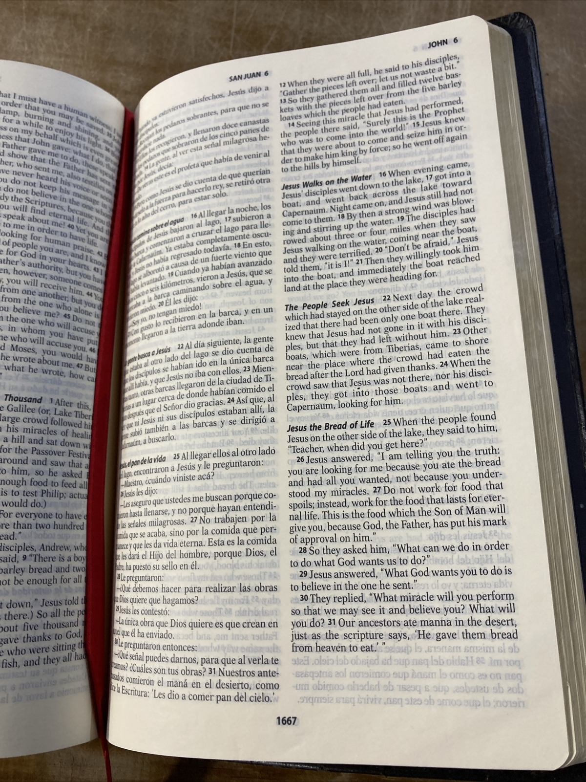 Spanish English Bilingual Bible Leather Biblia Bilingue Good News Dios Habla Hoy