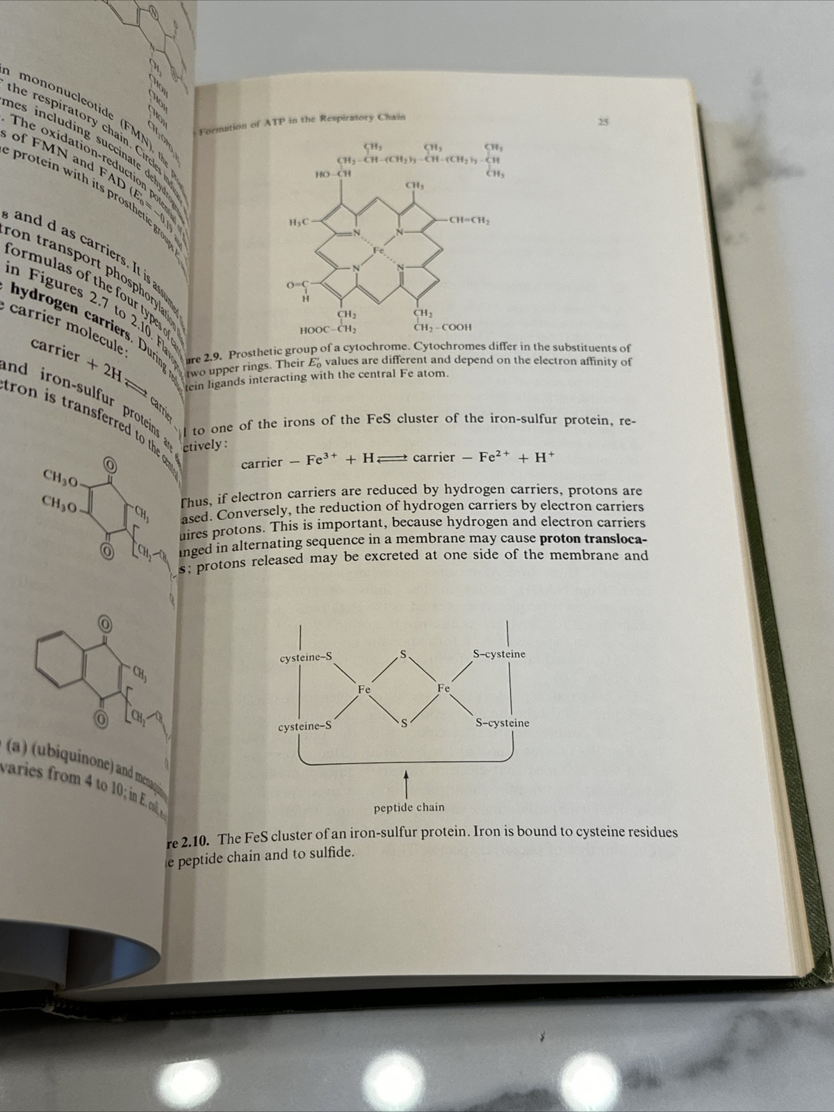 Bacterial Metabolism by Gottschalk, Gerhard Springer Verlag New York 1979 HC
