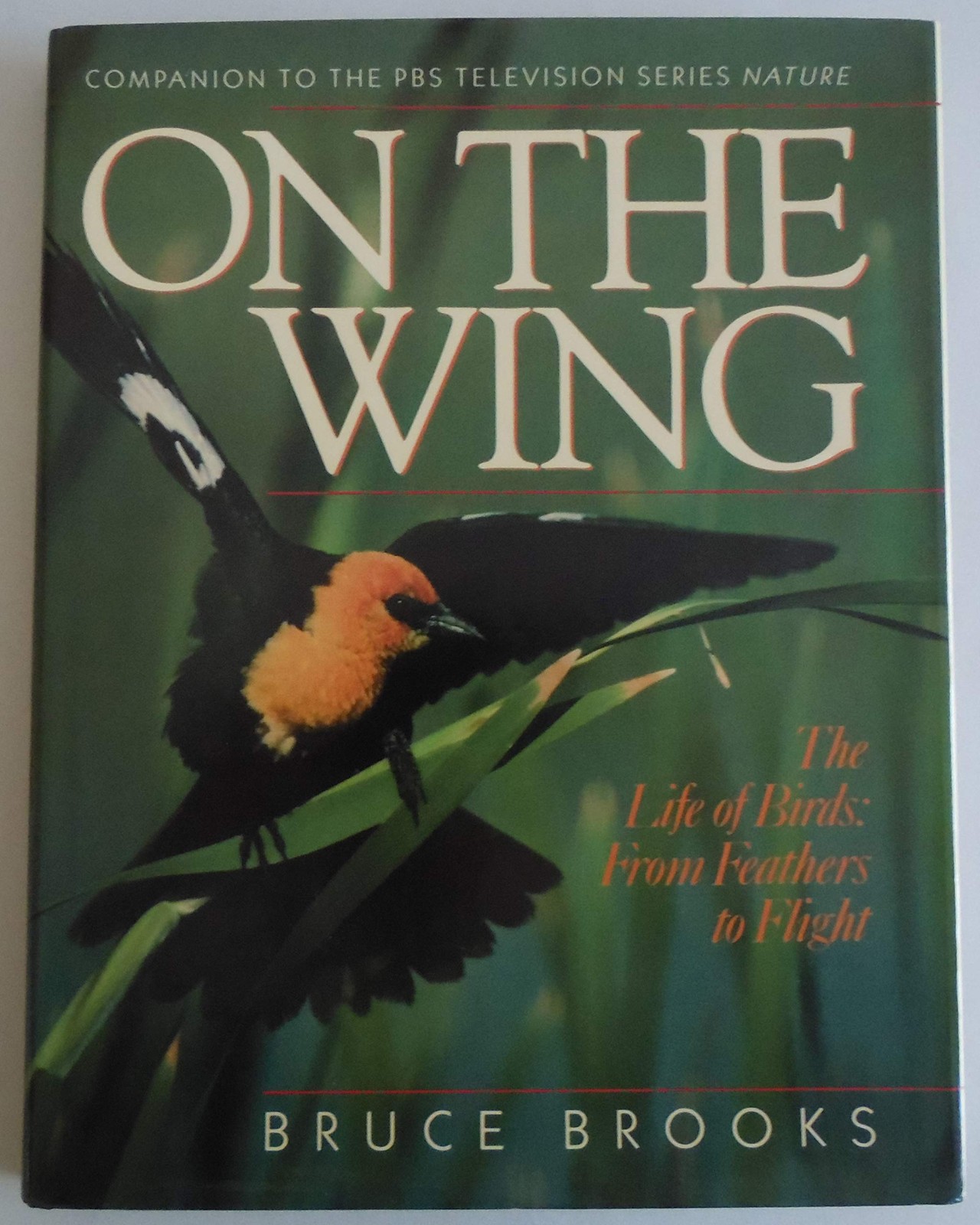 ON THE WING: The Life of Birds: From Feathers to Flight – hardcover Brooks, …