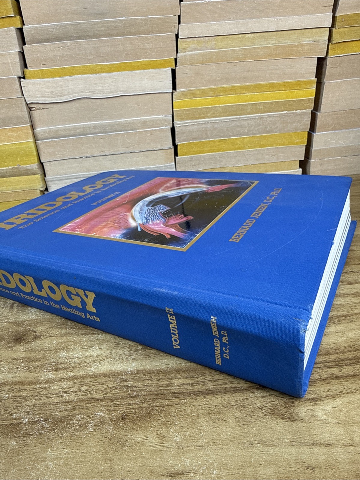 Iridology: The Science and Practice in the Healing Arts, Vol. 2 (1st Edition)