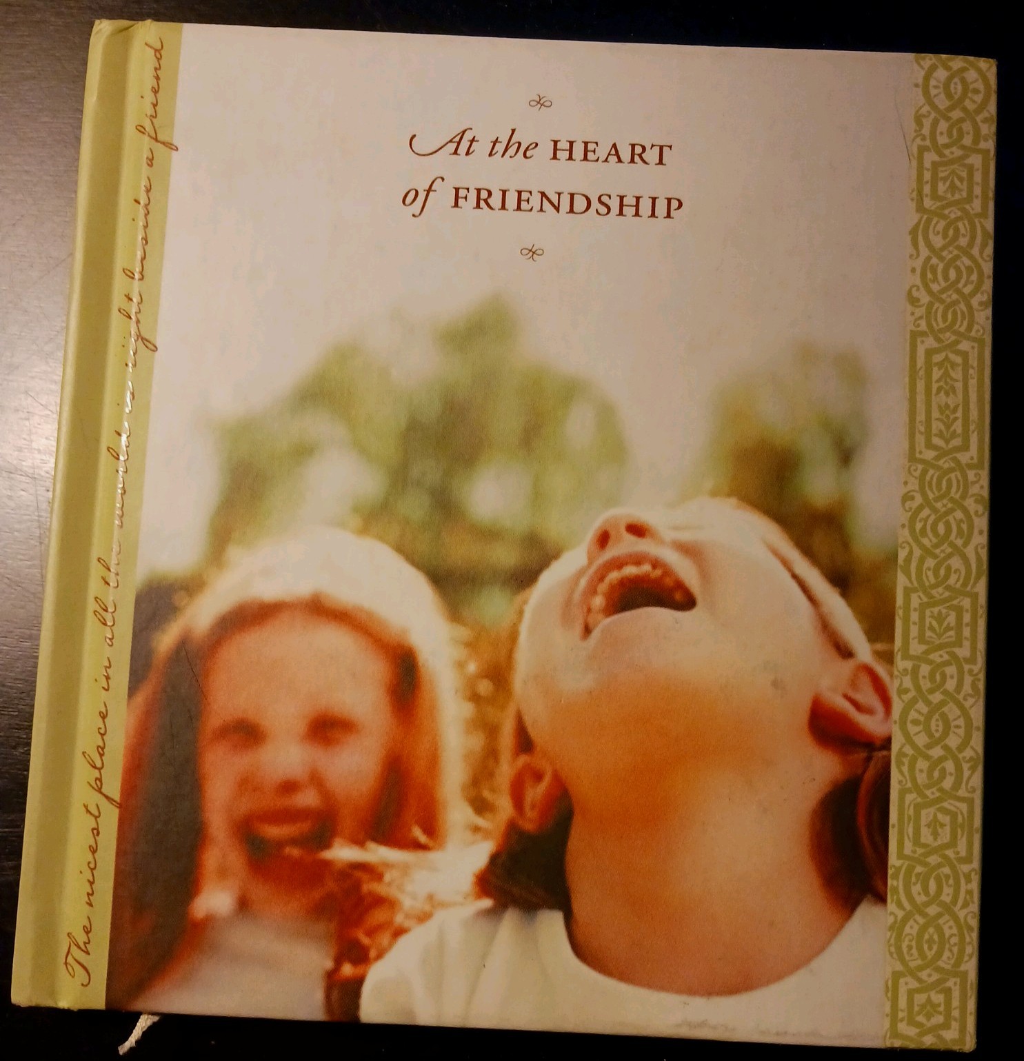 At the Heart of Friendship Hardcover – 2002 Hallmark – Various Author- Gift Book