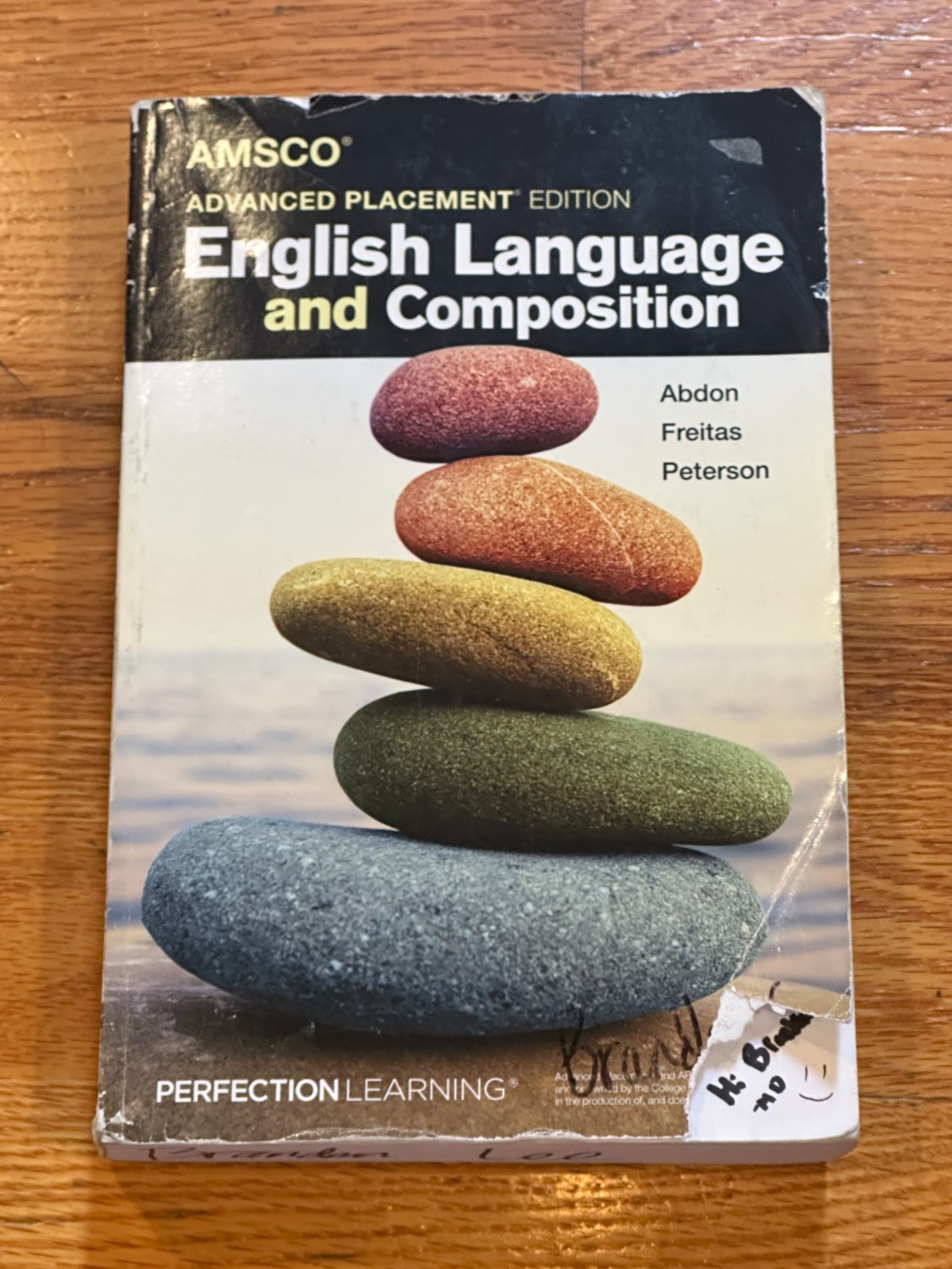 AMSCO Advanced Placement AP Edition English Language & Composition Textbook USED
