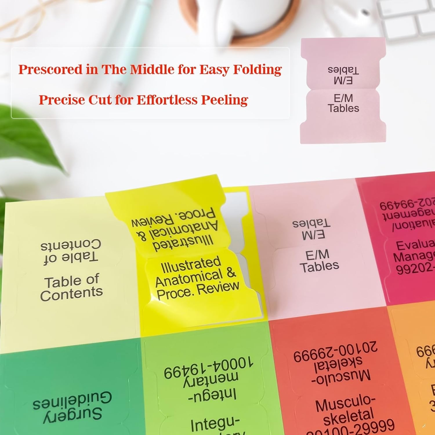 Easy Apply & Remove Index Tabs for Study Efficiency