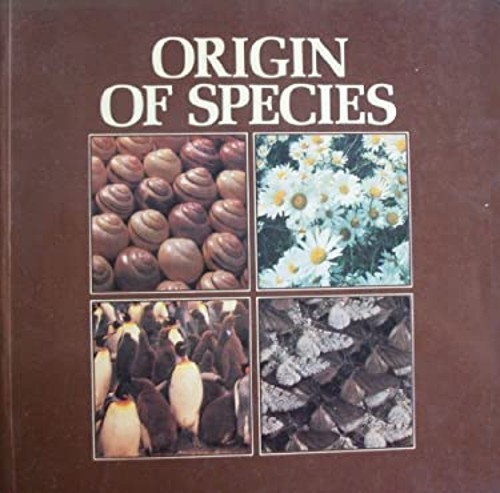 Origin of Species Paperback British Museum Staff