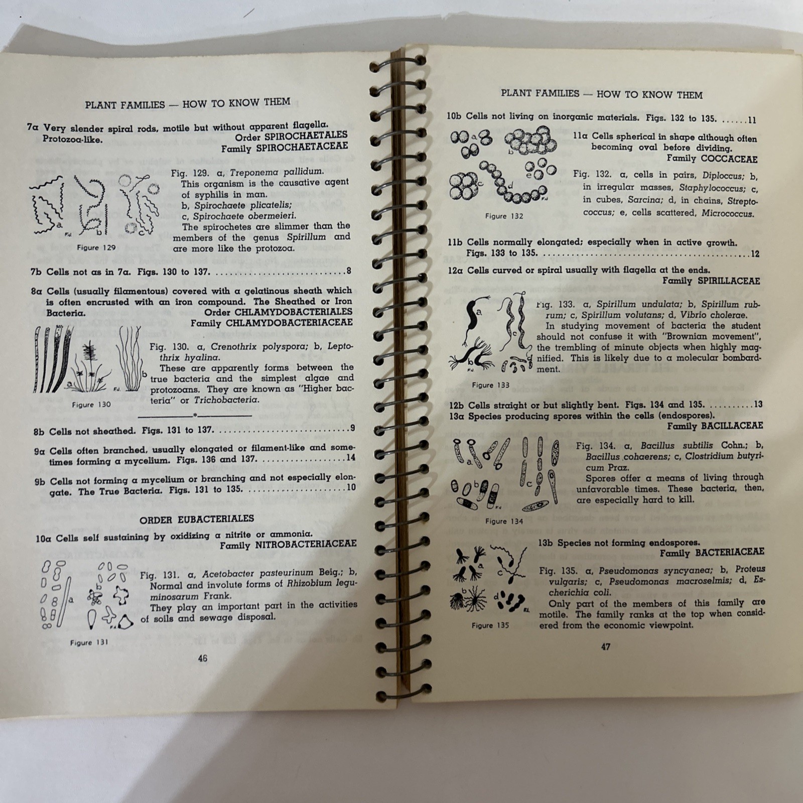 1949 Plant Families How to Know Pictures Key Nature 22nd Printing bb Book