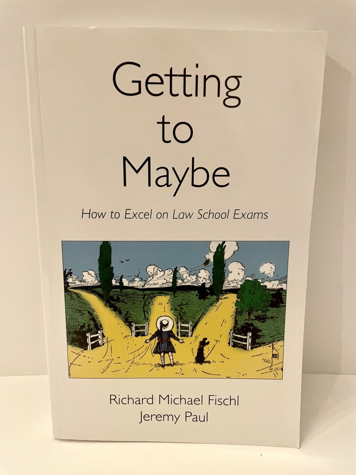 Getting to Maybe: How to Excel on Law School Exams Jeremy Paul|Richard Micha…