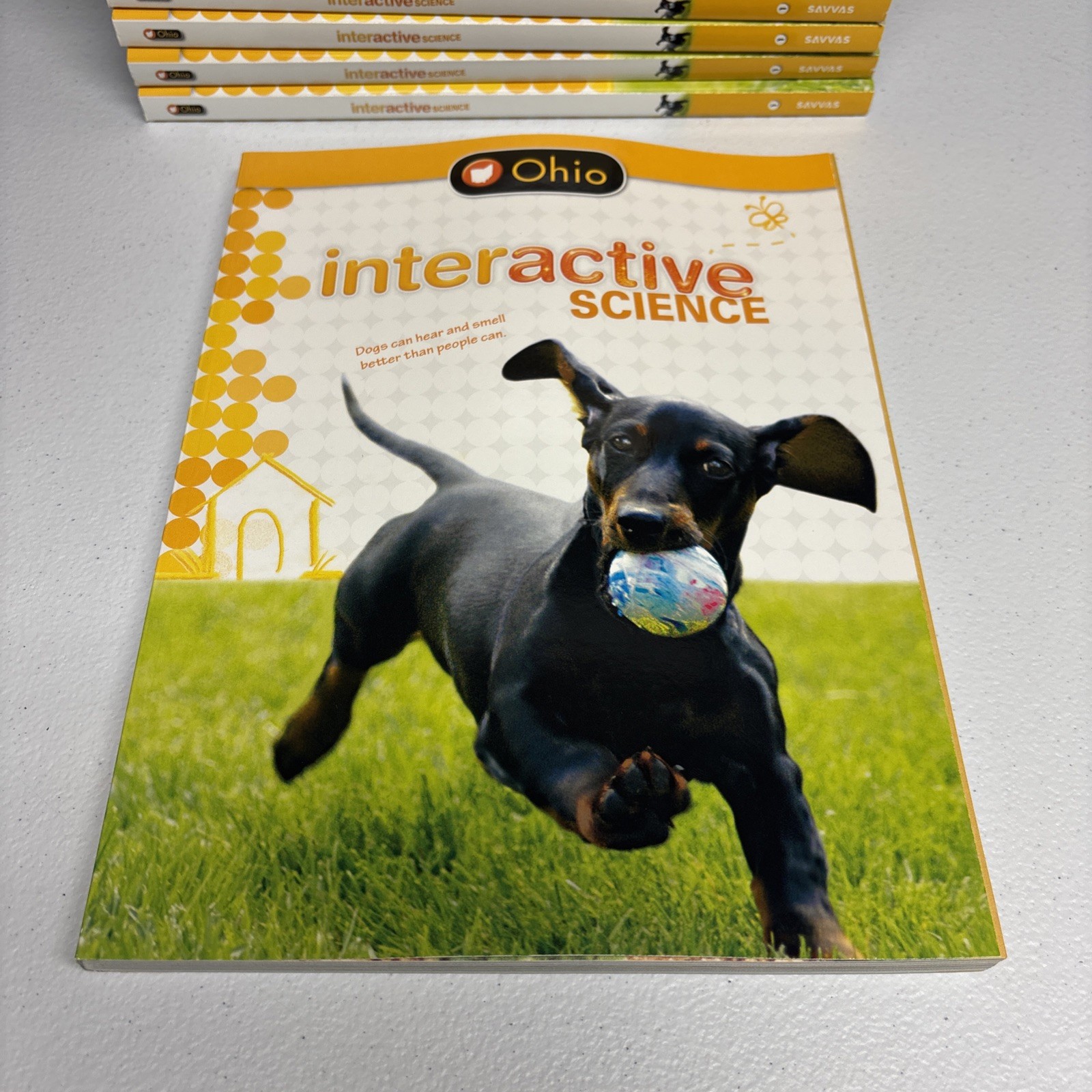 Interactive Science, Grade 1 by Pearson Education Staff LOT TOTAL 25 BOOKS