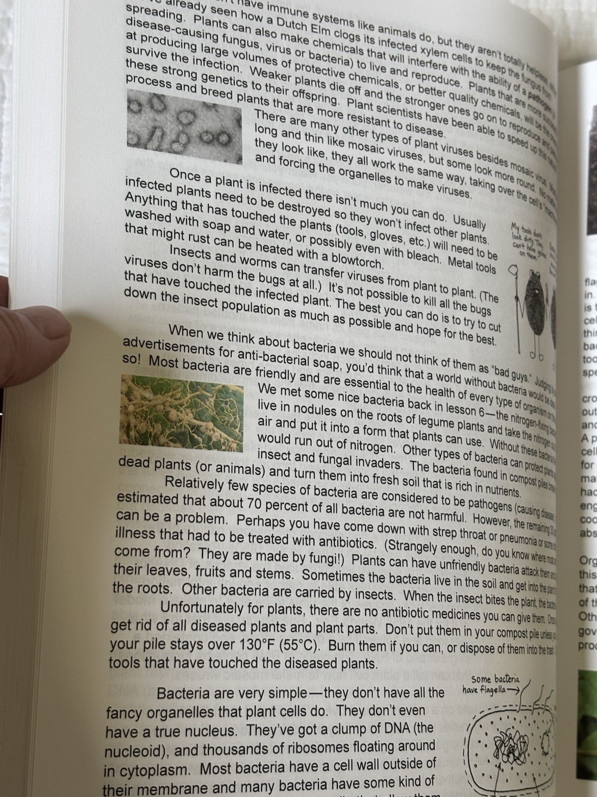 Botany in 8 Lessons; Student Text by Ellen Johnston McHenry (English) Paperback