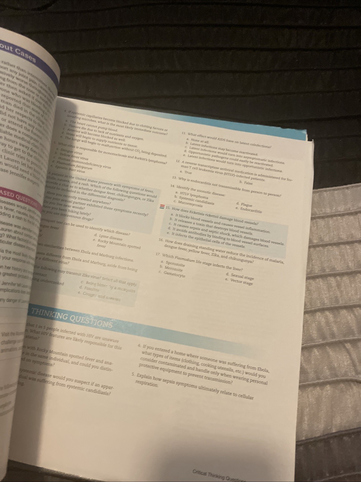 Microbiology Basic & Clinical Principles by Lourdes Norman-McKay in Binder