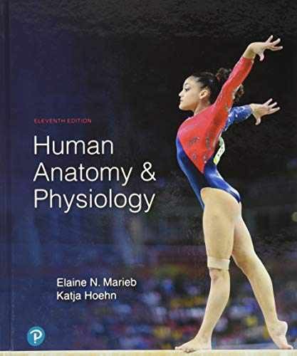 Human Anatomy & Physiology – Hardcover, by Marieb Elaine; Hoehn – Very Good